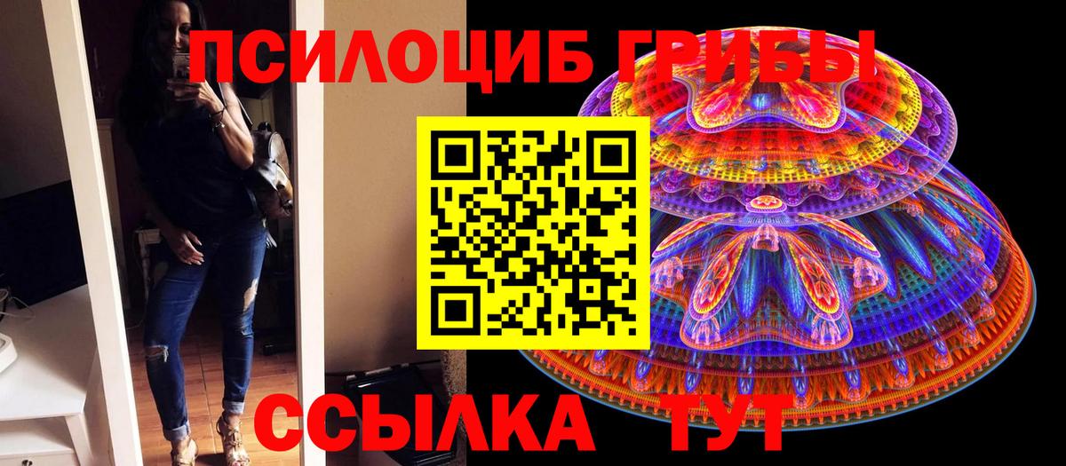 Галлюциногенные грибы Magic Shrooms  Вход с VPN  цена наркотик  Нижний Тагил 