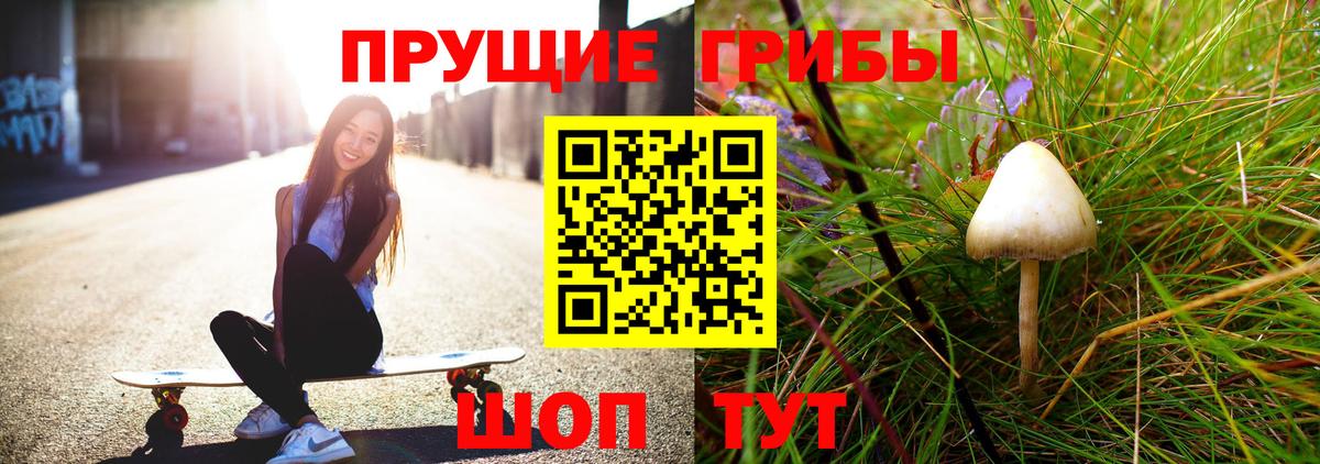 Псилоцибиновые грибы MAGIC MUSHROOMS Нижний Тагил